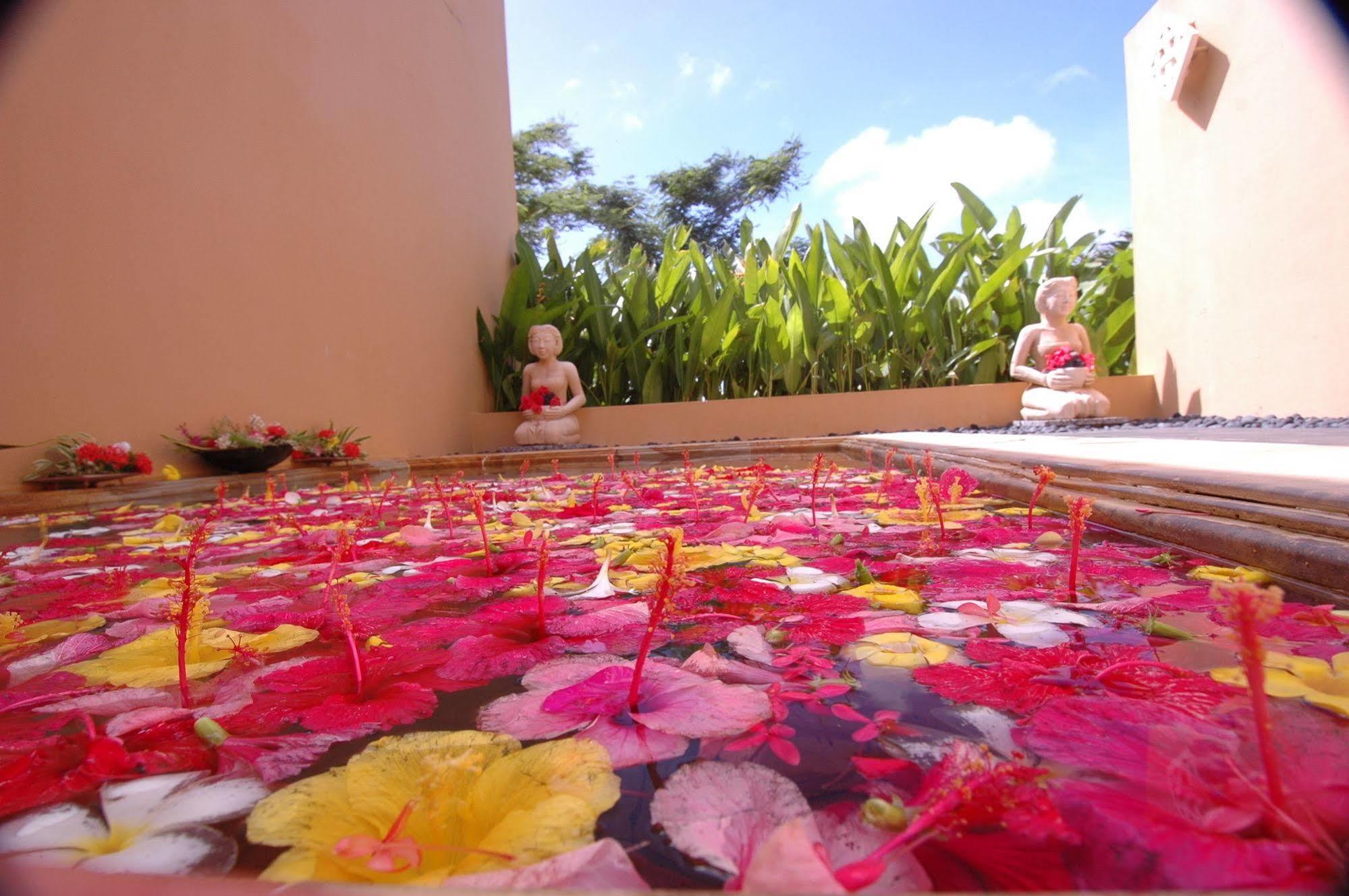 Mariana Resort & Spa San Roque Ngoại thất bức ảnh